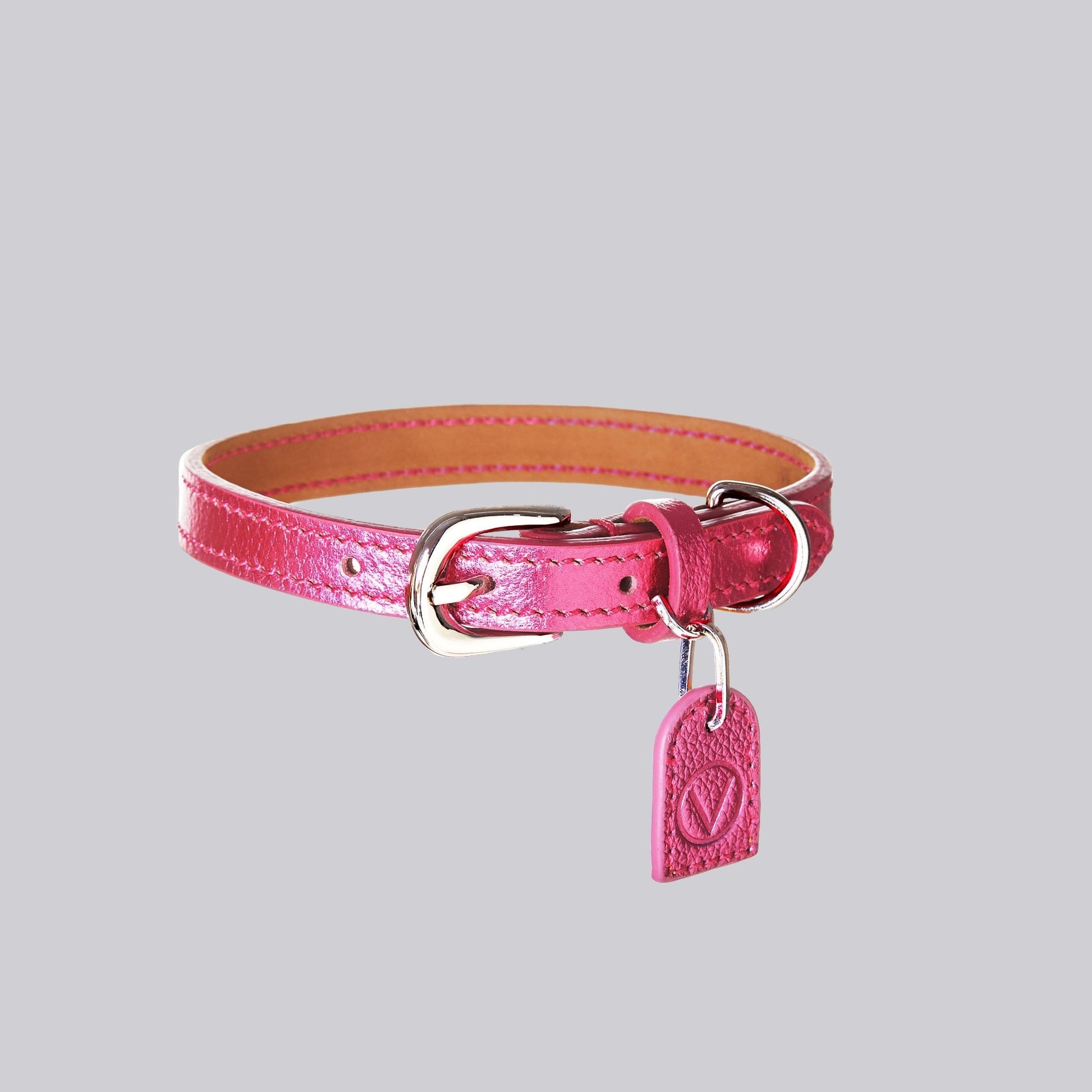 Leather Lead Collar and Pocket Set