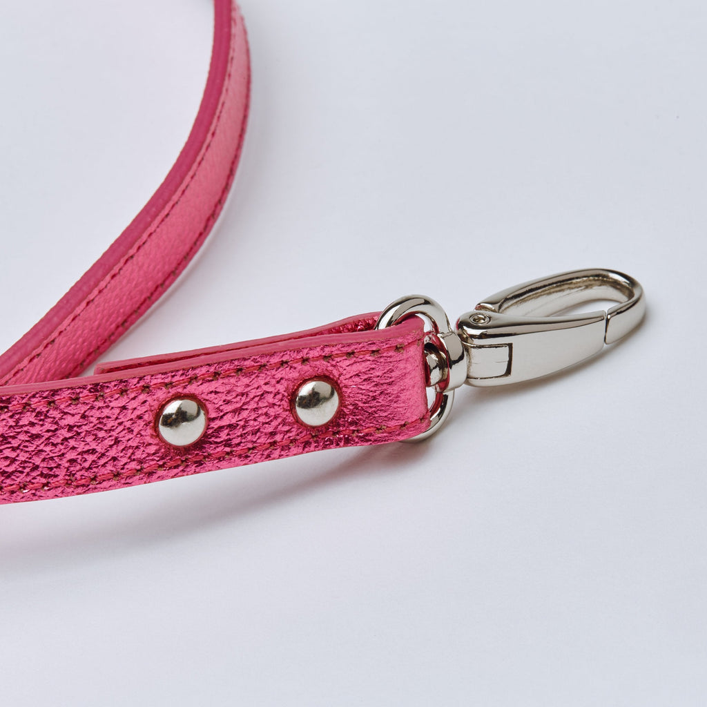 Gloss Lead in Rose and Silver