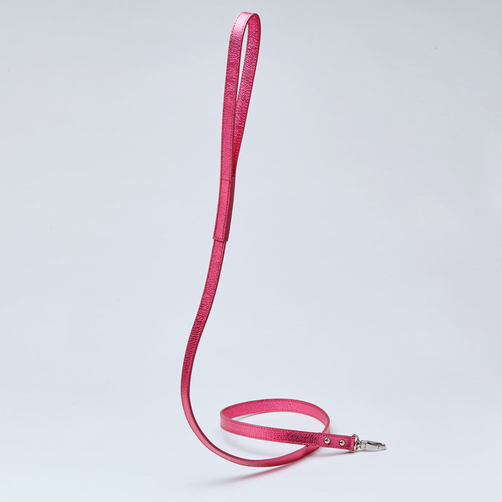 Gloss Lead in Rose and Silver