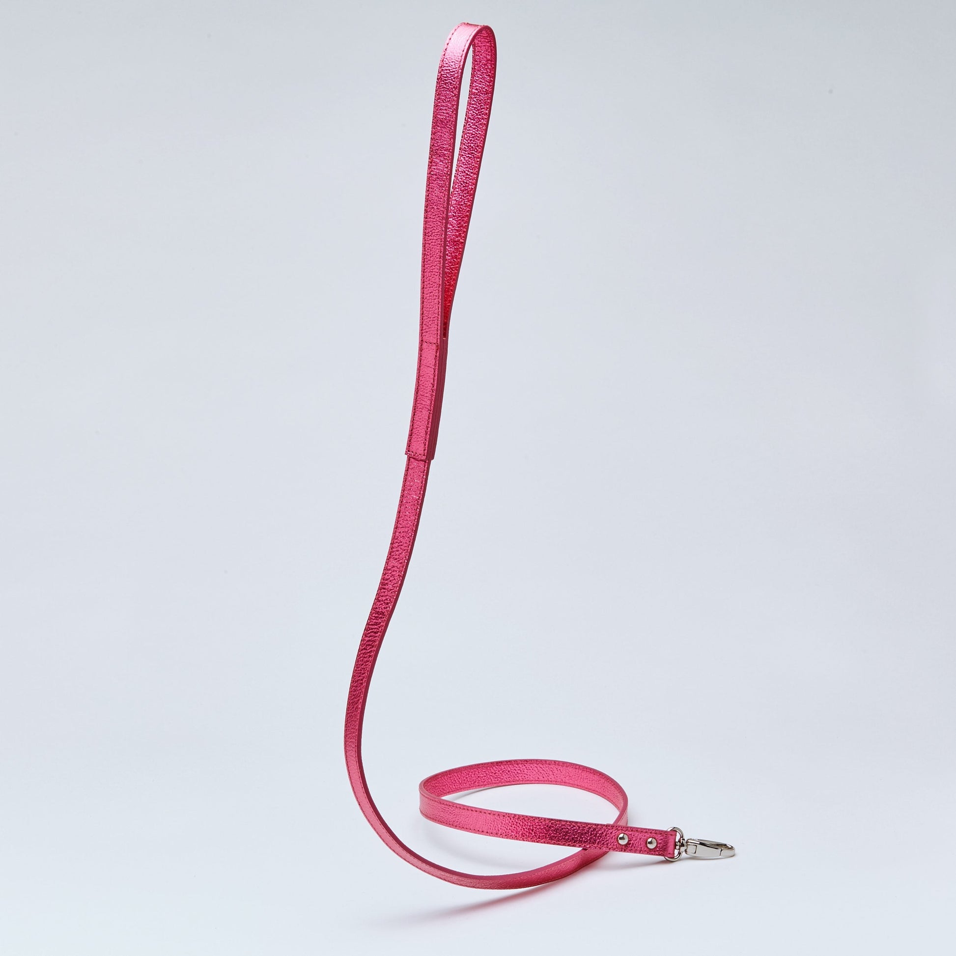 Gloss Lead in Rose and Silver