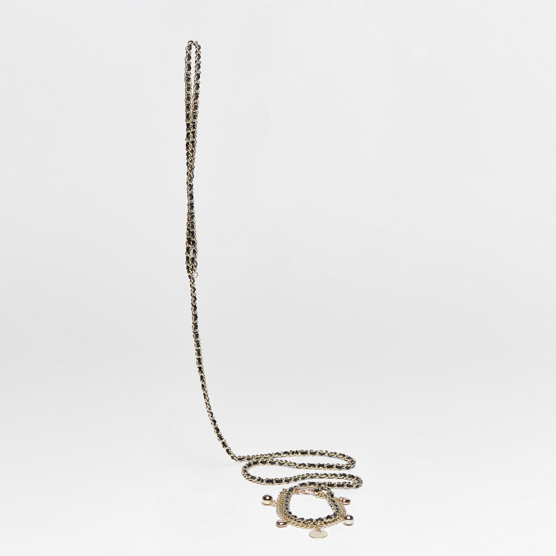 Golden Chain Lead and Collar