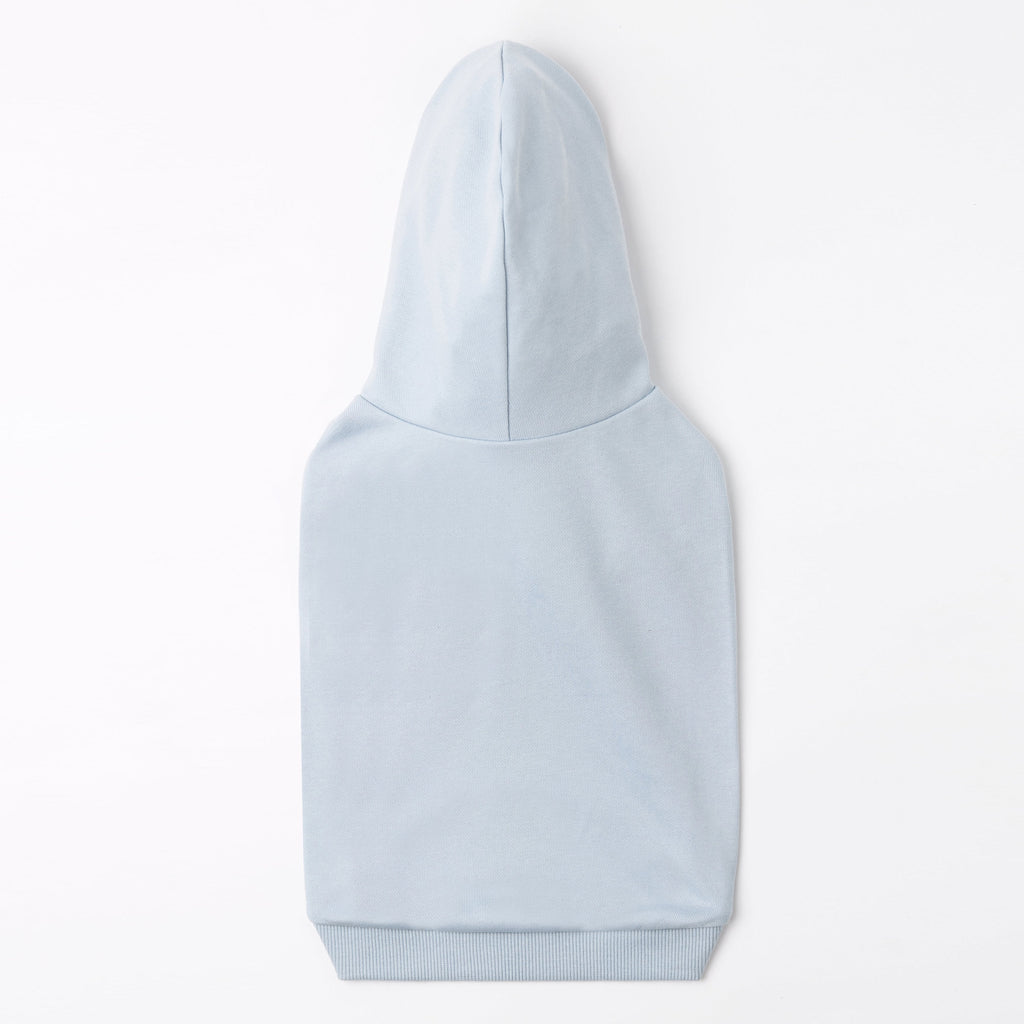 A Print Hoodie in Baby Blue or Brown
