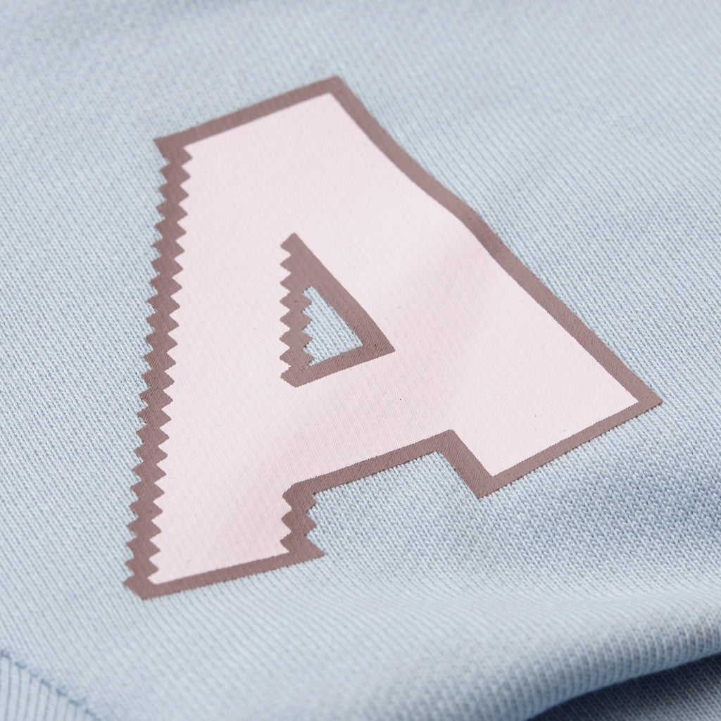 A Print Hoodie in Baby Blue or Brown