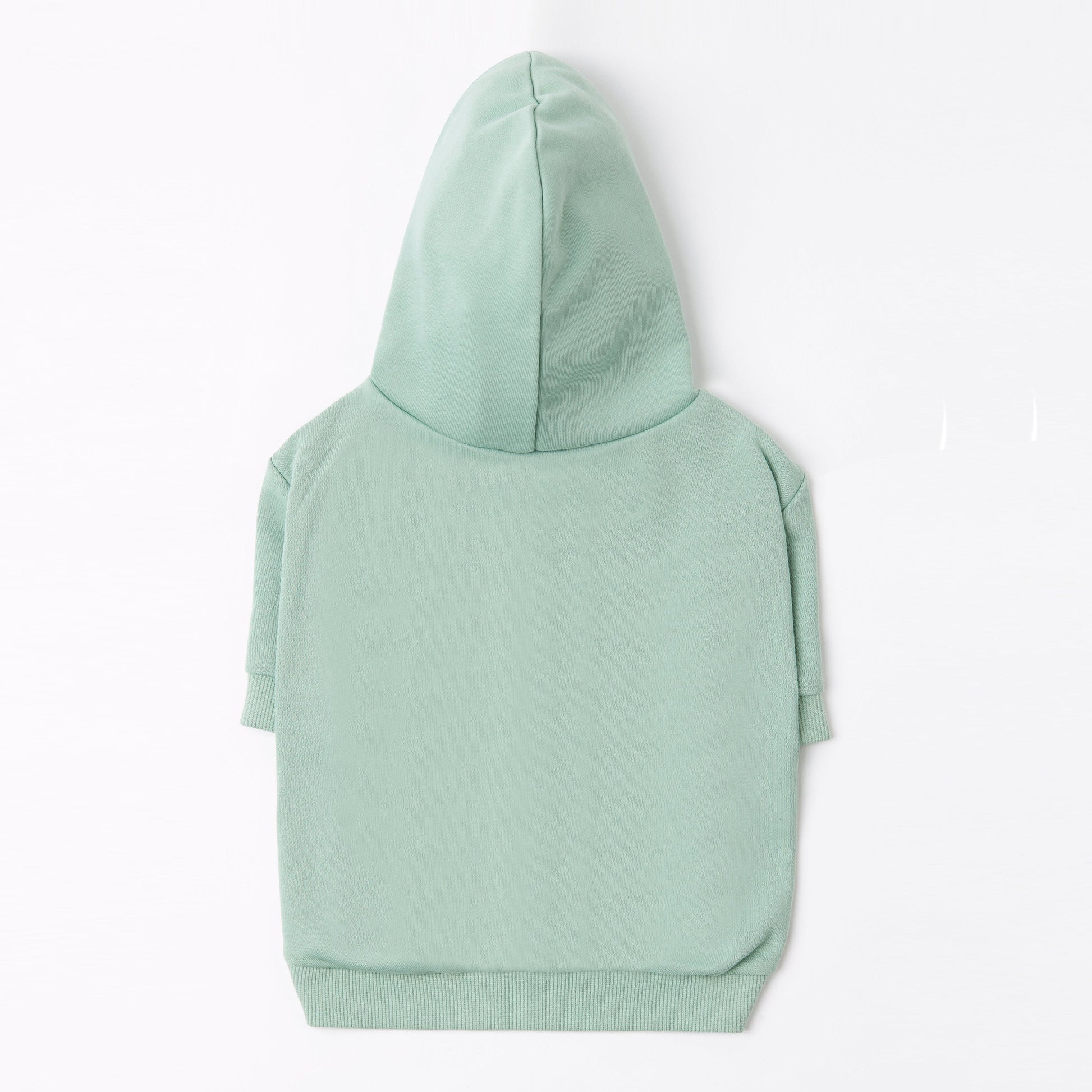 Stick Figure Hoodie in White and Mint Green