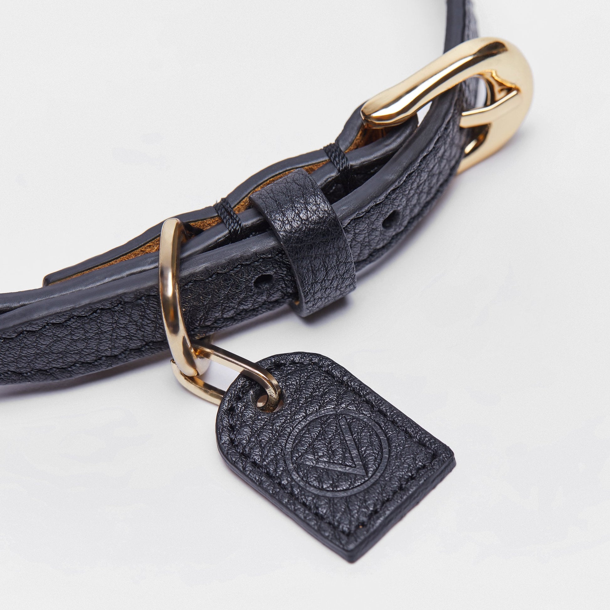 Leather Collar with Gold and Silver Hardware