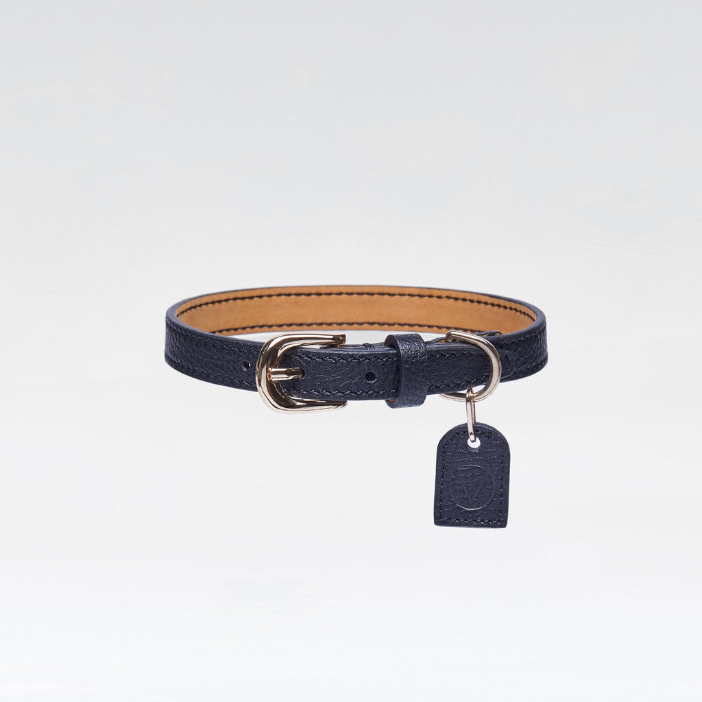 Leather Collar with Gold and Silver Hardware