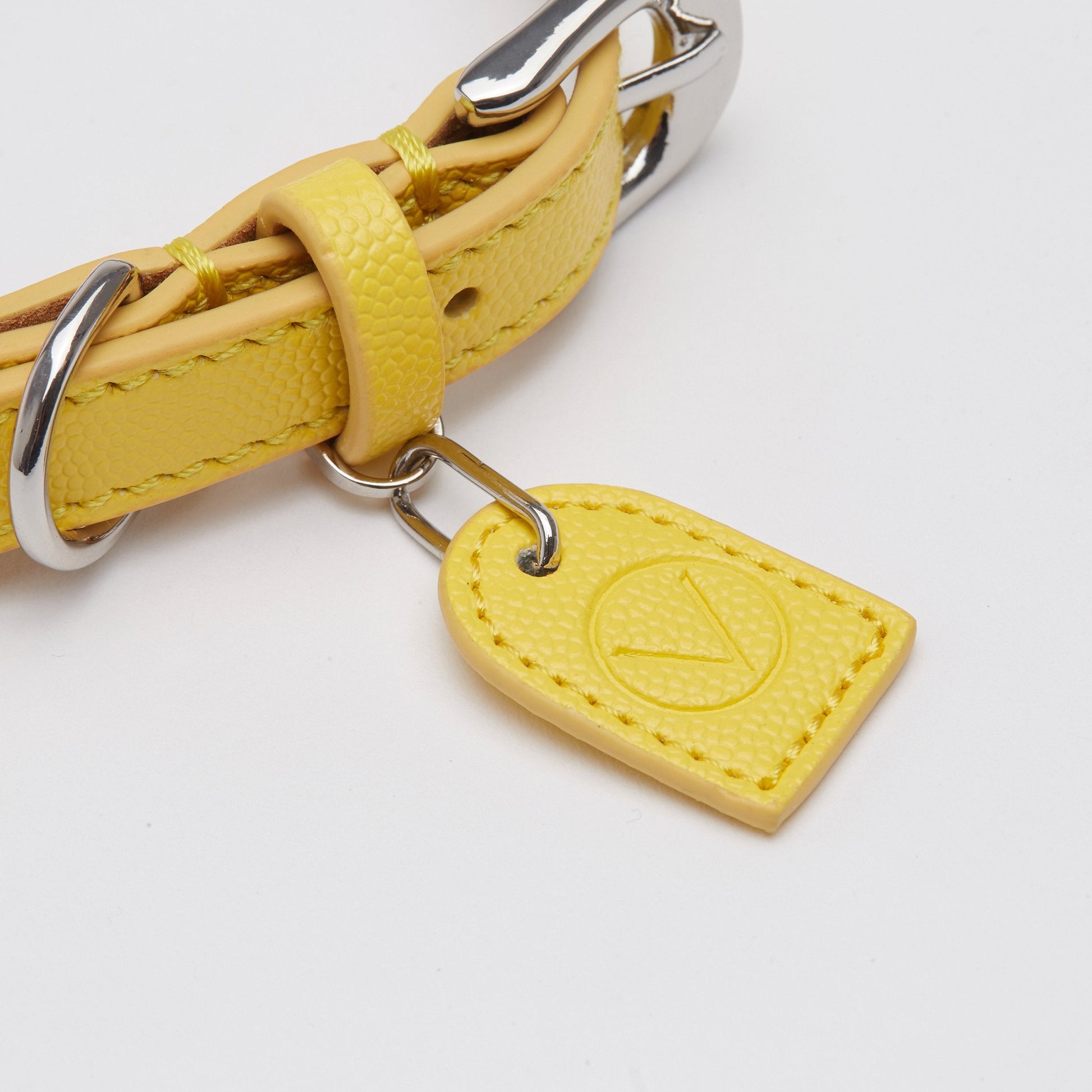 Leather Collar with Gold and Silver Hardware