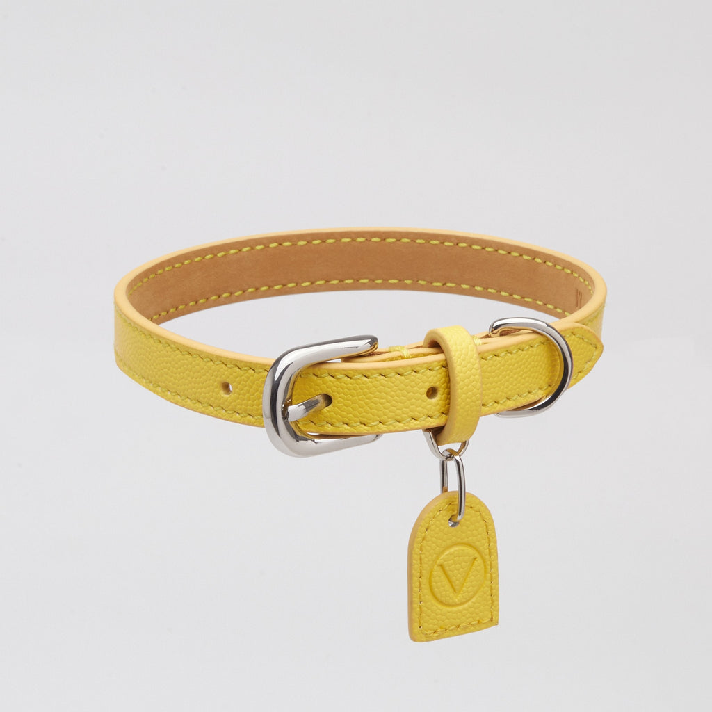Leather Collar with Gold and Silver Hardware