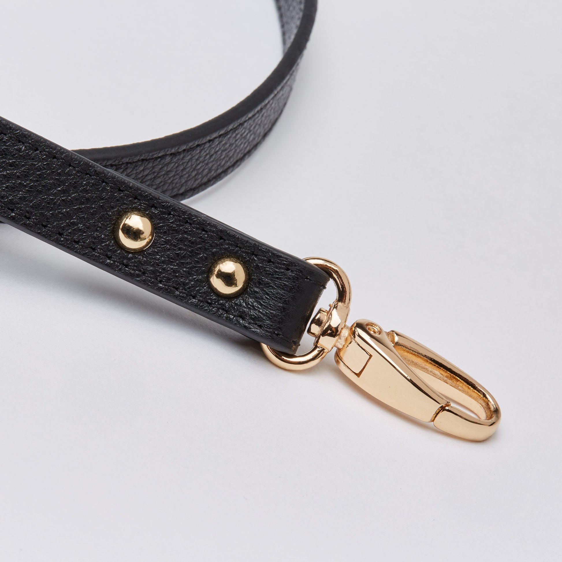 Leather Lead in Six Colours