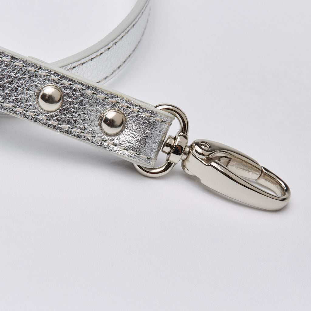 Gloss Lead in Rose and Silver