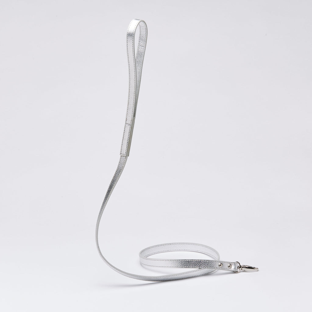 Gloss Lead in Rose and Silver