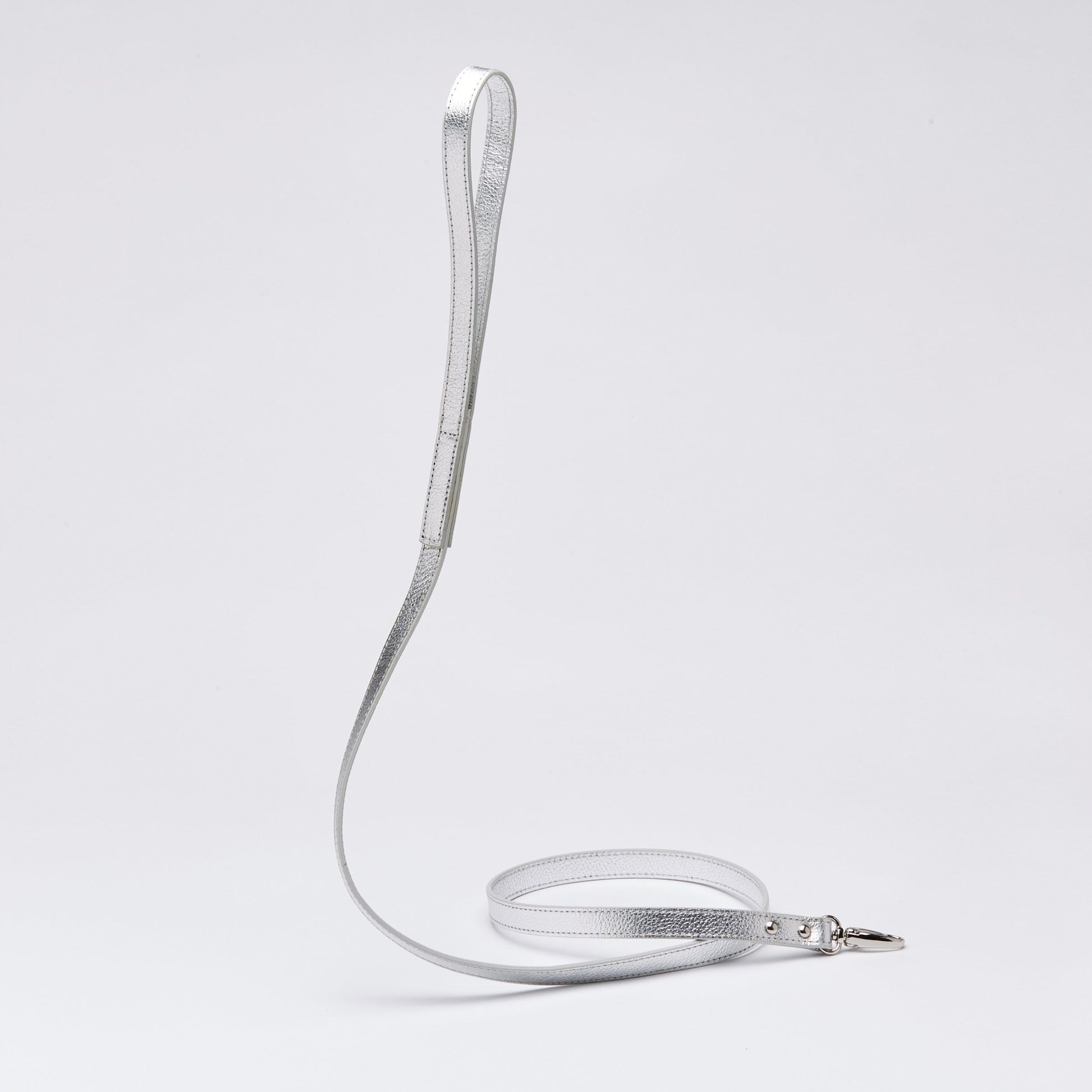 Gloss Lead in Rose and Silver