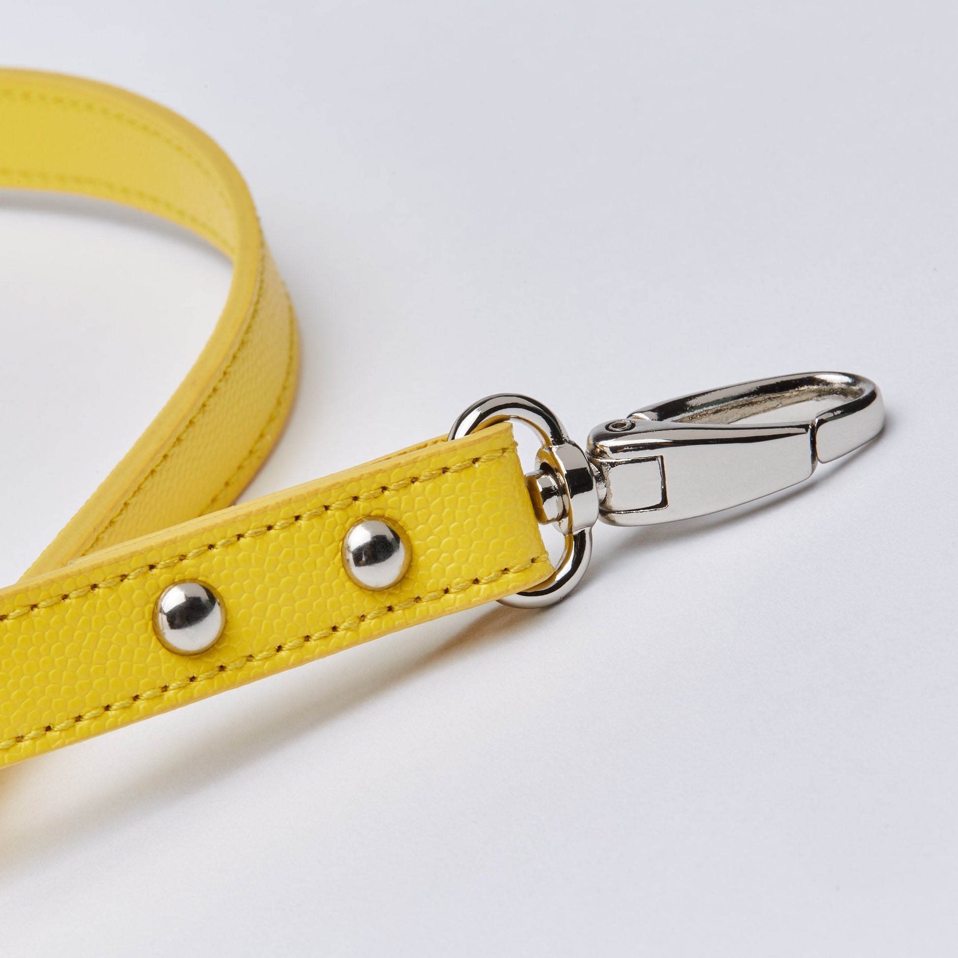 Leather Lead in Six Colours