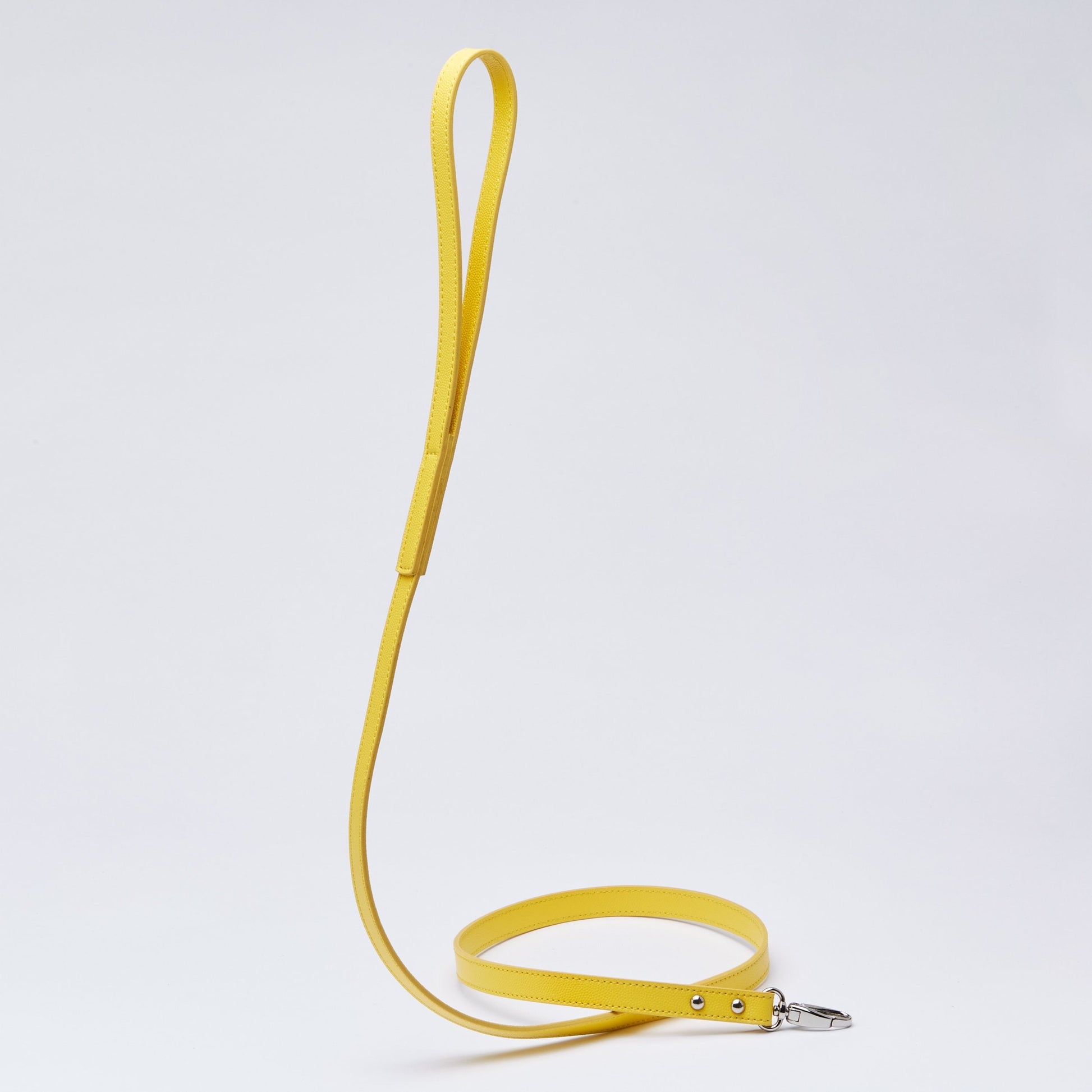 Leather Lead in Six Colours