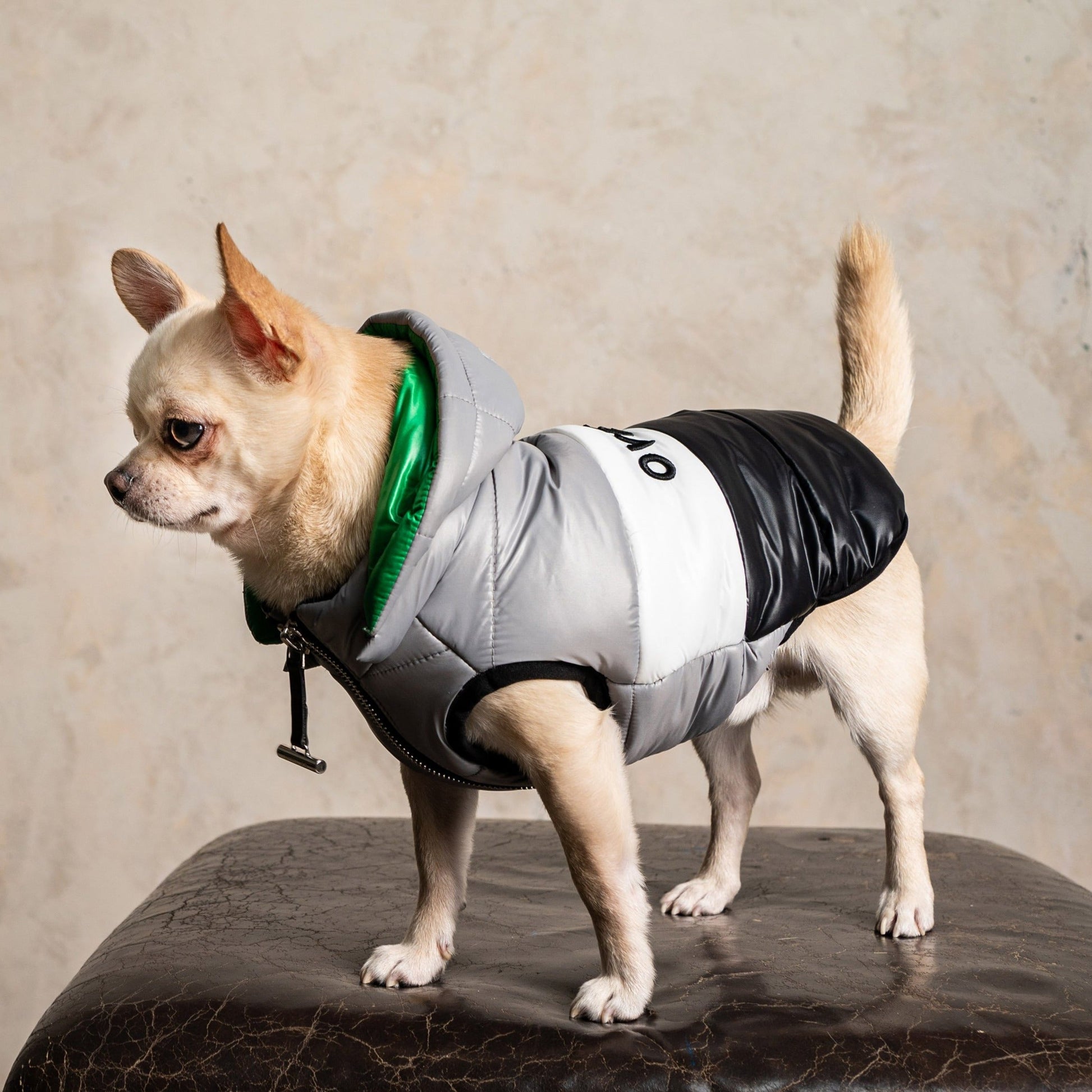 Sleeveless Puffer Jacket with Hood in Grey