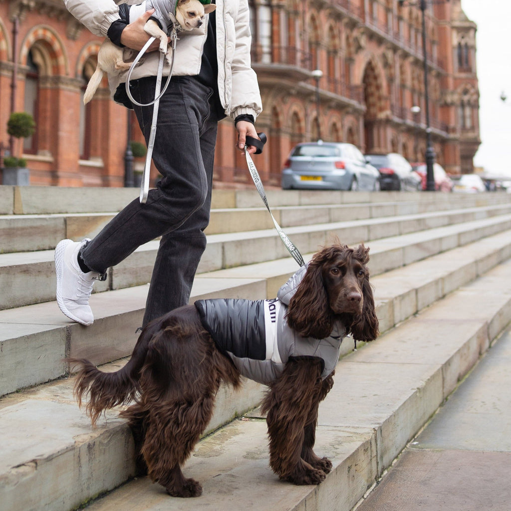 Sleeveless Puffer Jacket with Hood in Grey
