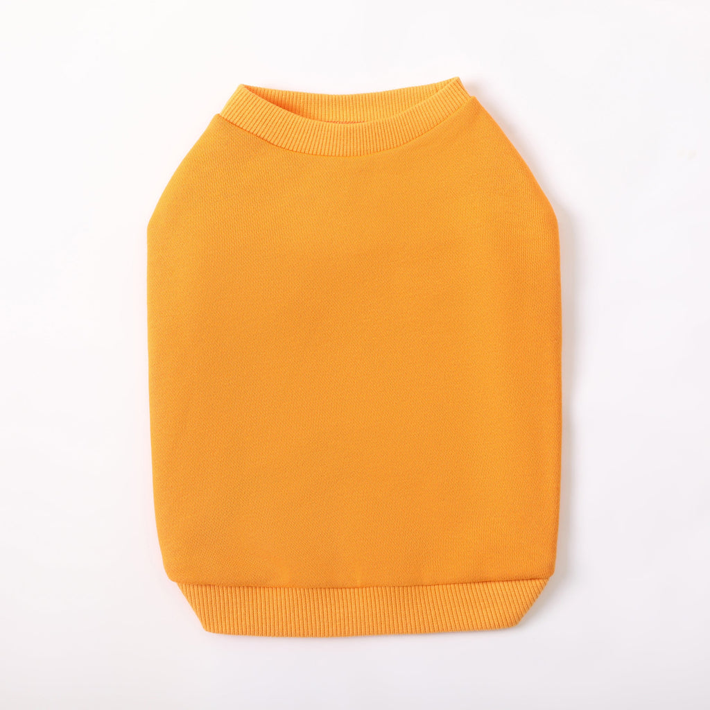 Colourful Wool Blend Sweatshirt with Slogan