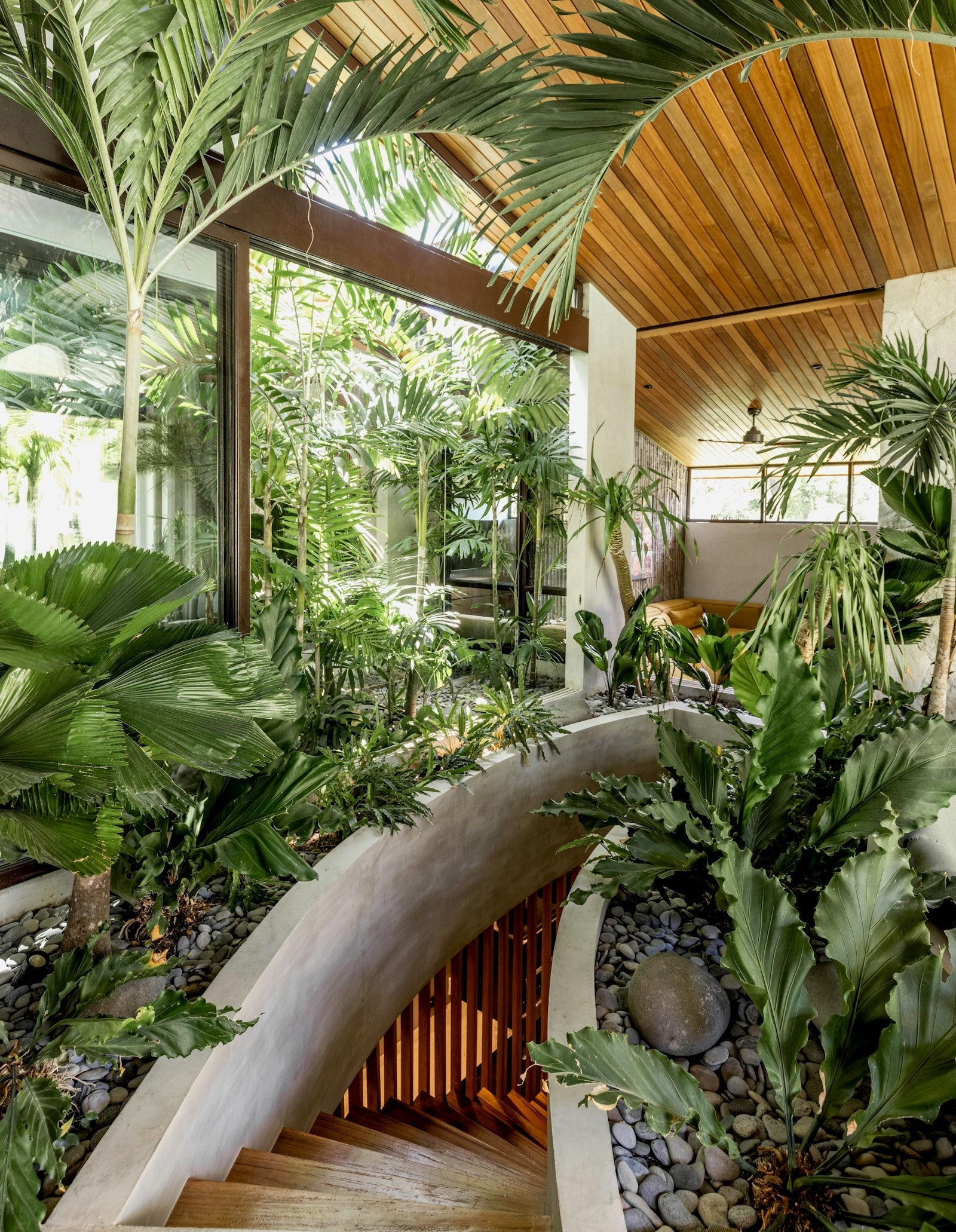Natural Homes and Biophilic Architecture