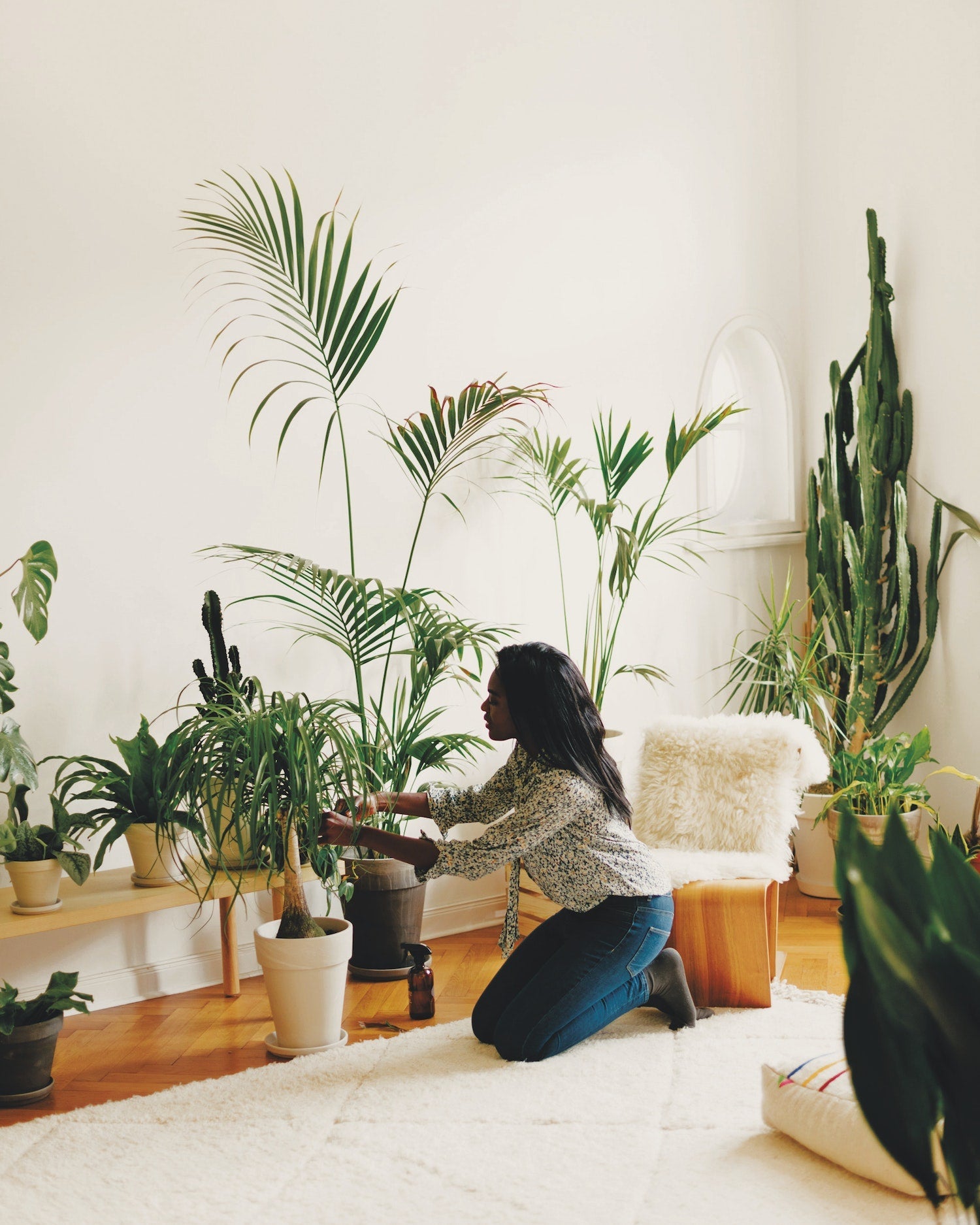 The World's Best Shops: Stories, People, and Your Path to Opening One