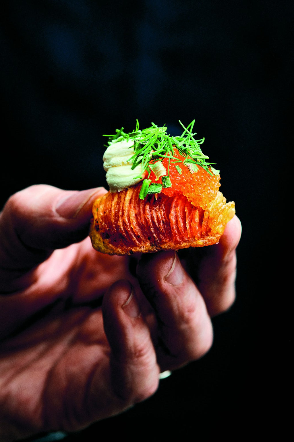 Potato Total Cookbook