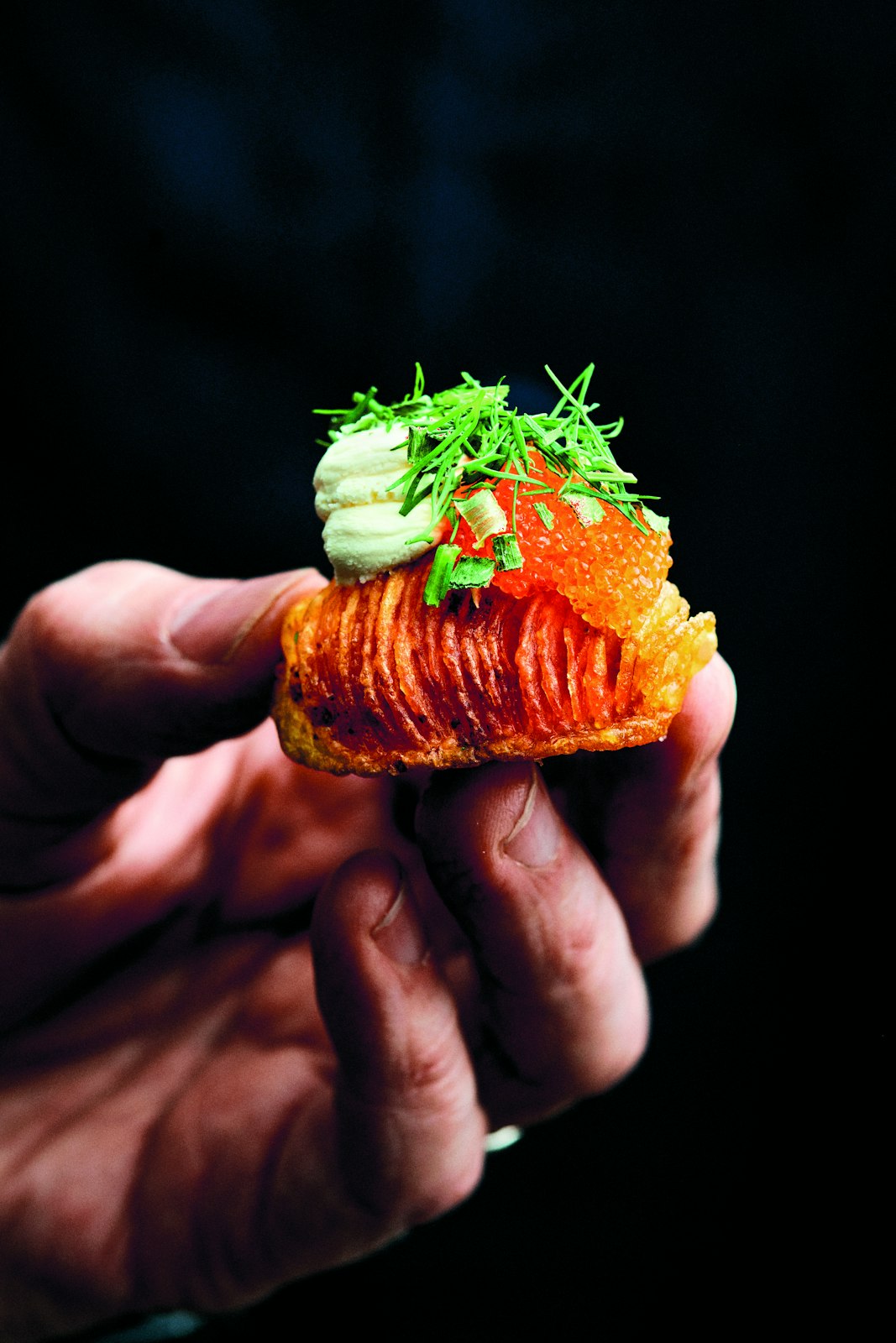 Potato Total Cookbook