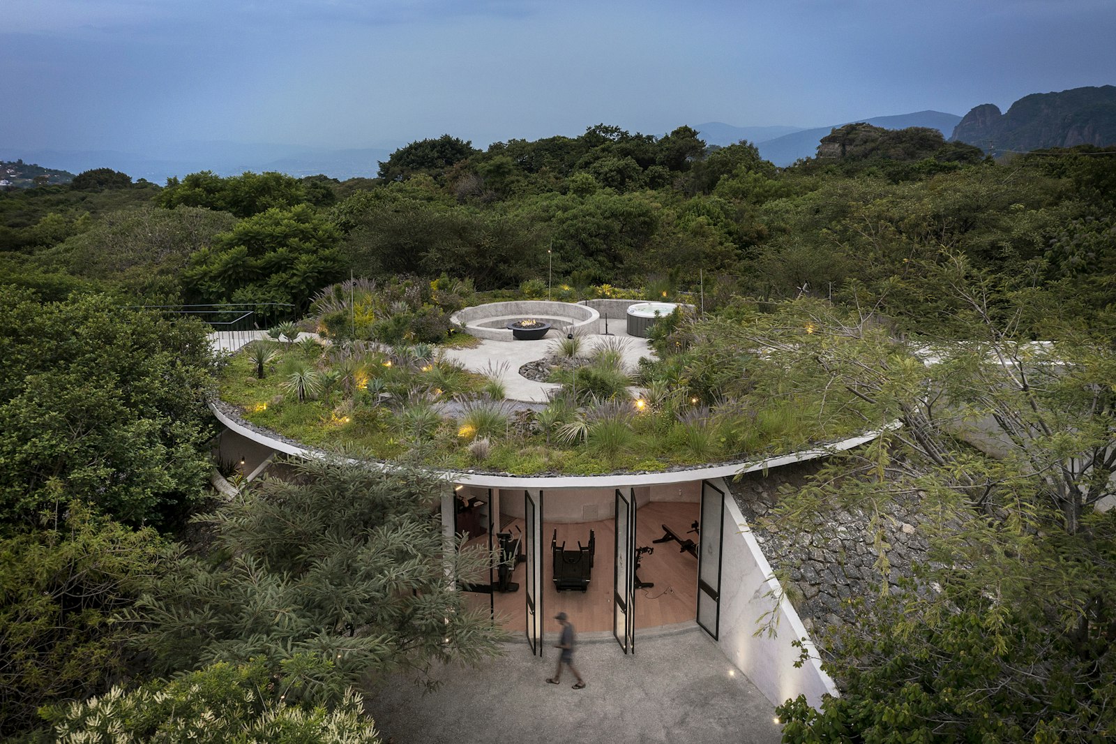 Natural Homes and Biophilic Architecture