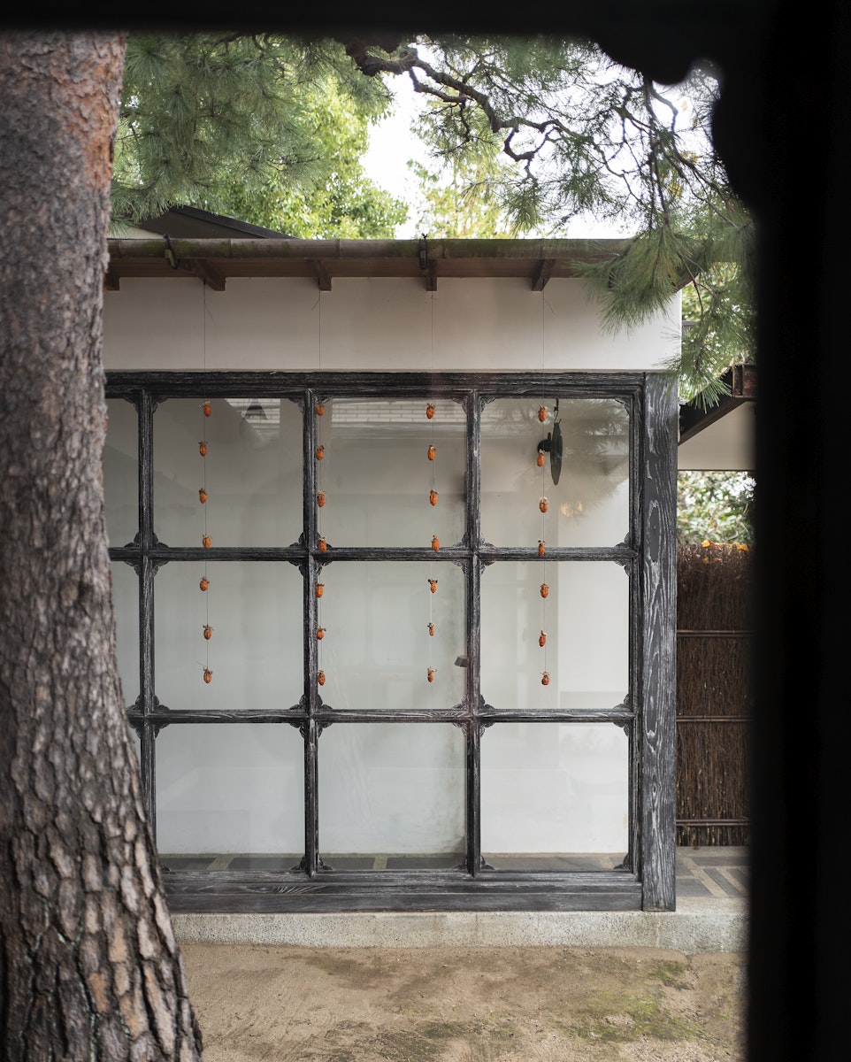 Stillness: An Exploration of Japanese Aesthetics in Architecture and Design