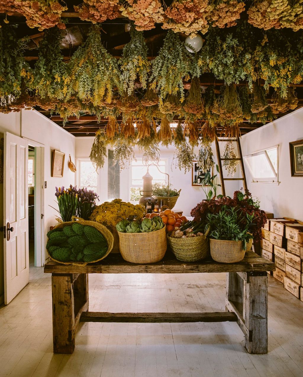 The Avant Gardens Collection