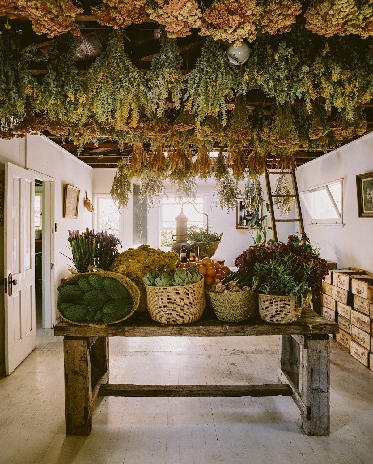 The Avant Gardens Collection