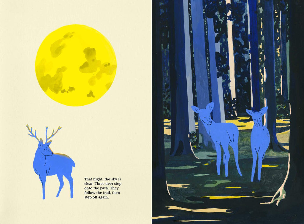 The Path: A Story About Finding Your Way