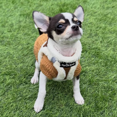 Step In Soft Touch Suede Faux Fur Lined Puppy and Small Dog Harness Mocha