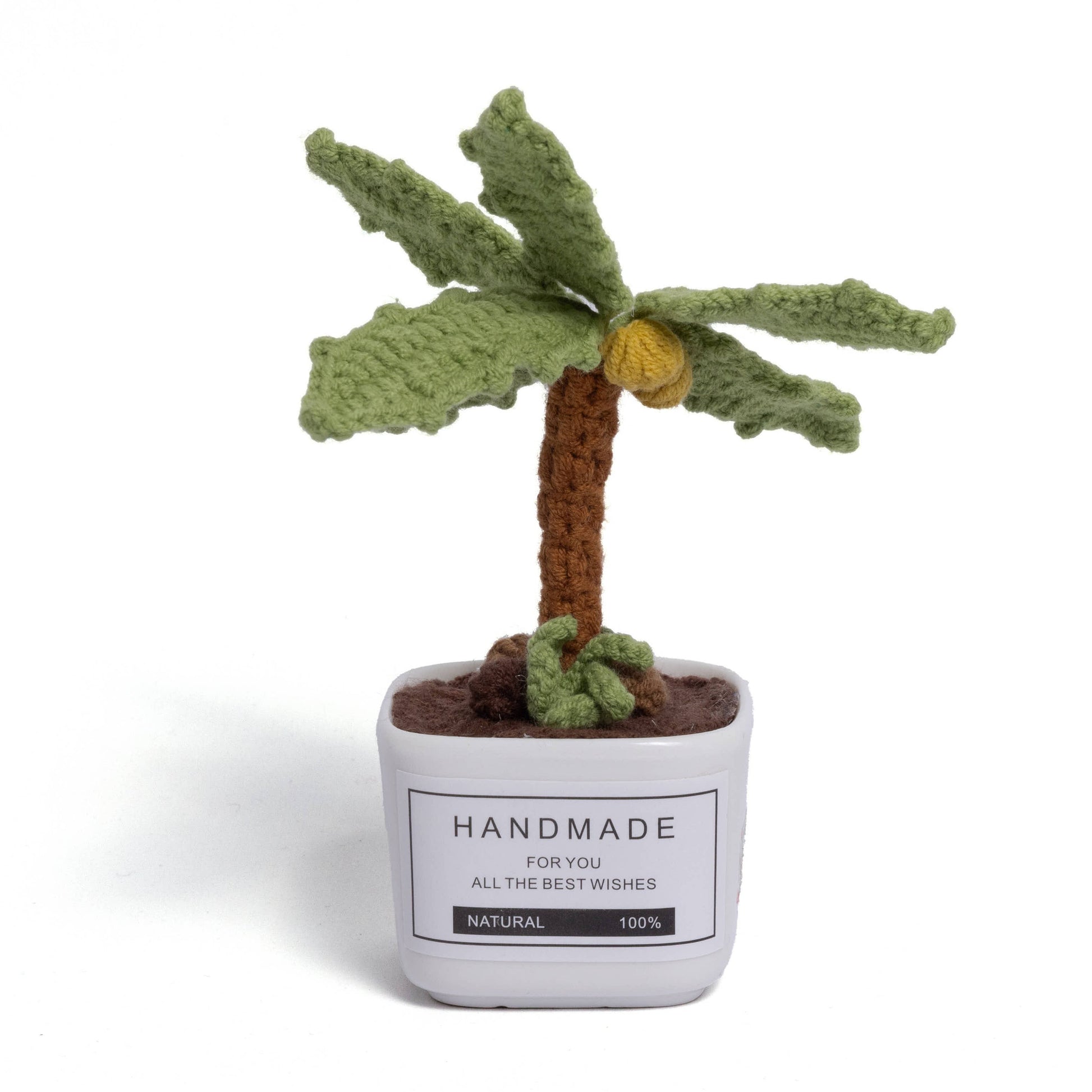 Tranquil Succulent Garden Collection