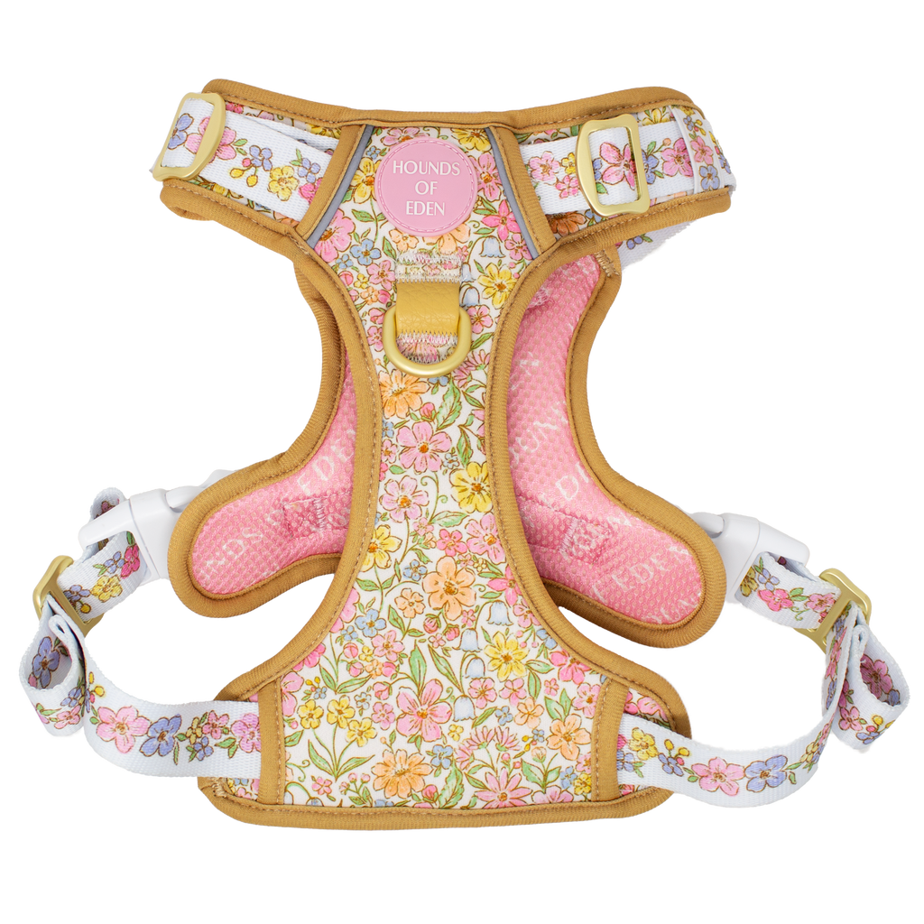 Pastel Petals Dog Harness XS to XL