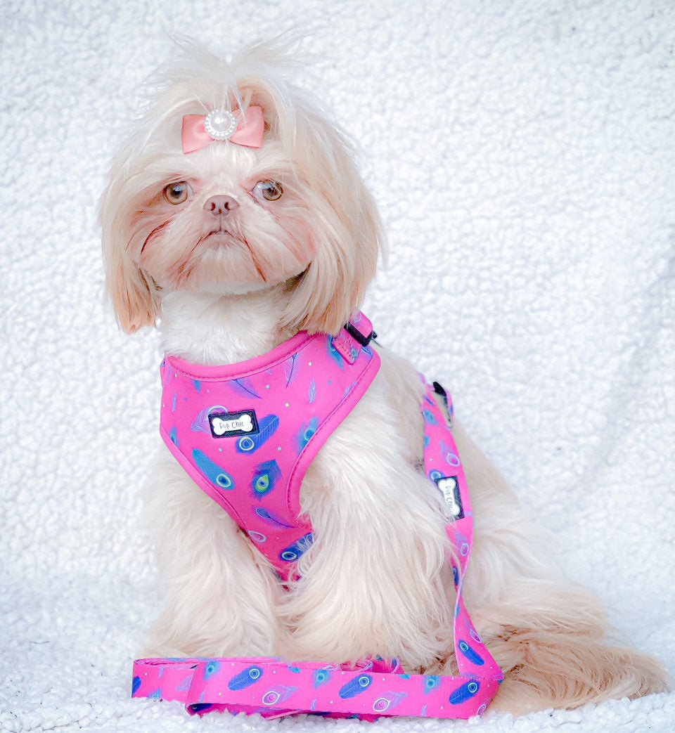 Pink Peacock Power 5ft Dog Lead