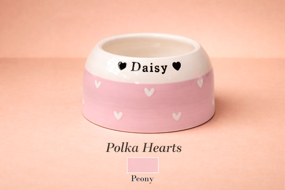 Personalised Ear-Free Cocker Spaniel Dog Bowl – Handmade Ceramic Bowl