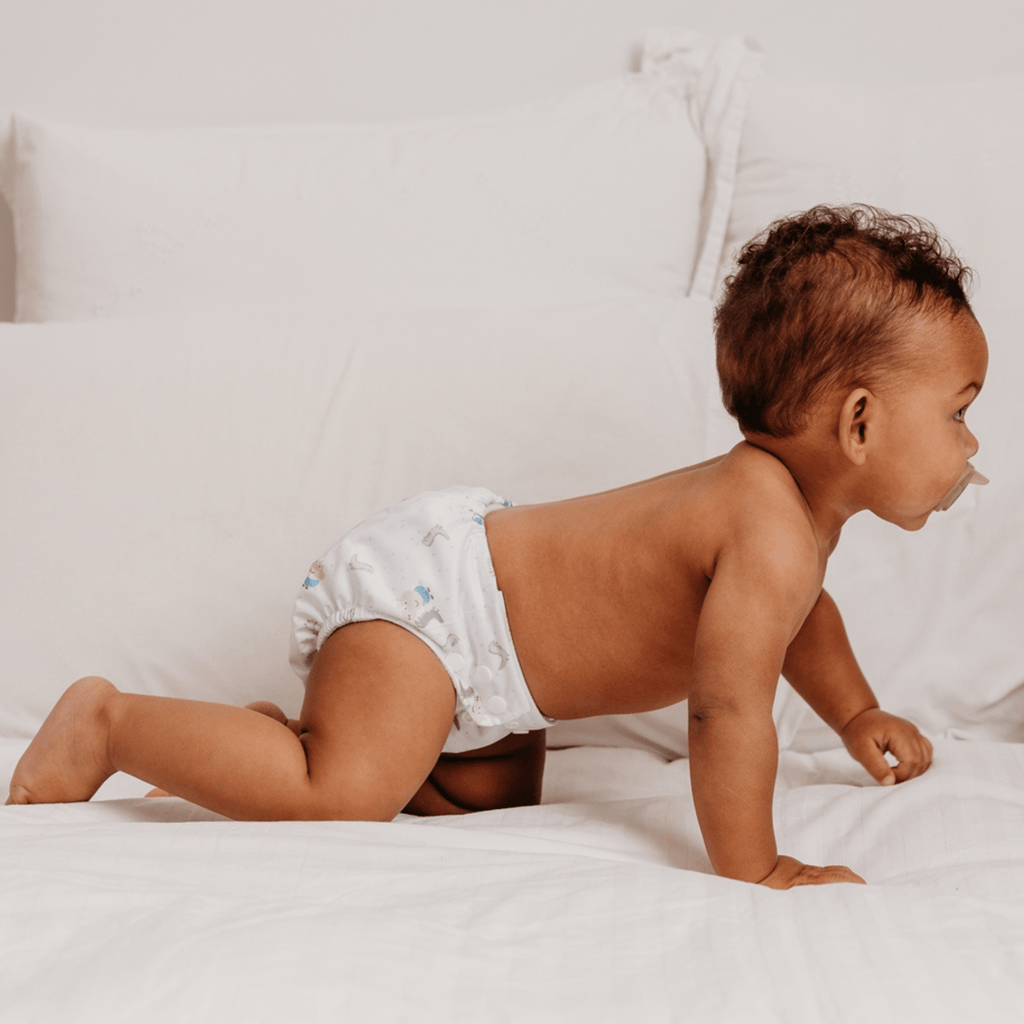 Peppa Pig One Size Reusable Cloth Nappy George and Mr Dinosaur White