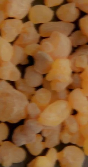 Perfume Oil - Paradox In A Bottle, 10ml