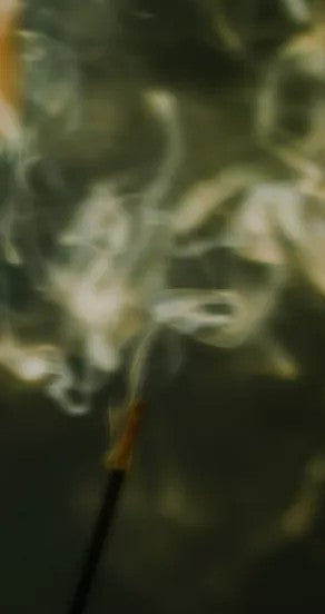 Perfume Oil - Temple Of Sensus, 10ml