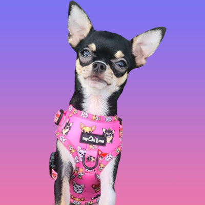 Signature Pink Chihuahua Print Small Dog Harness