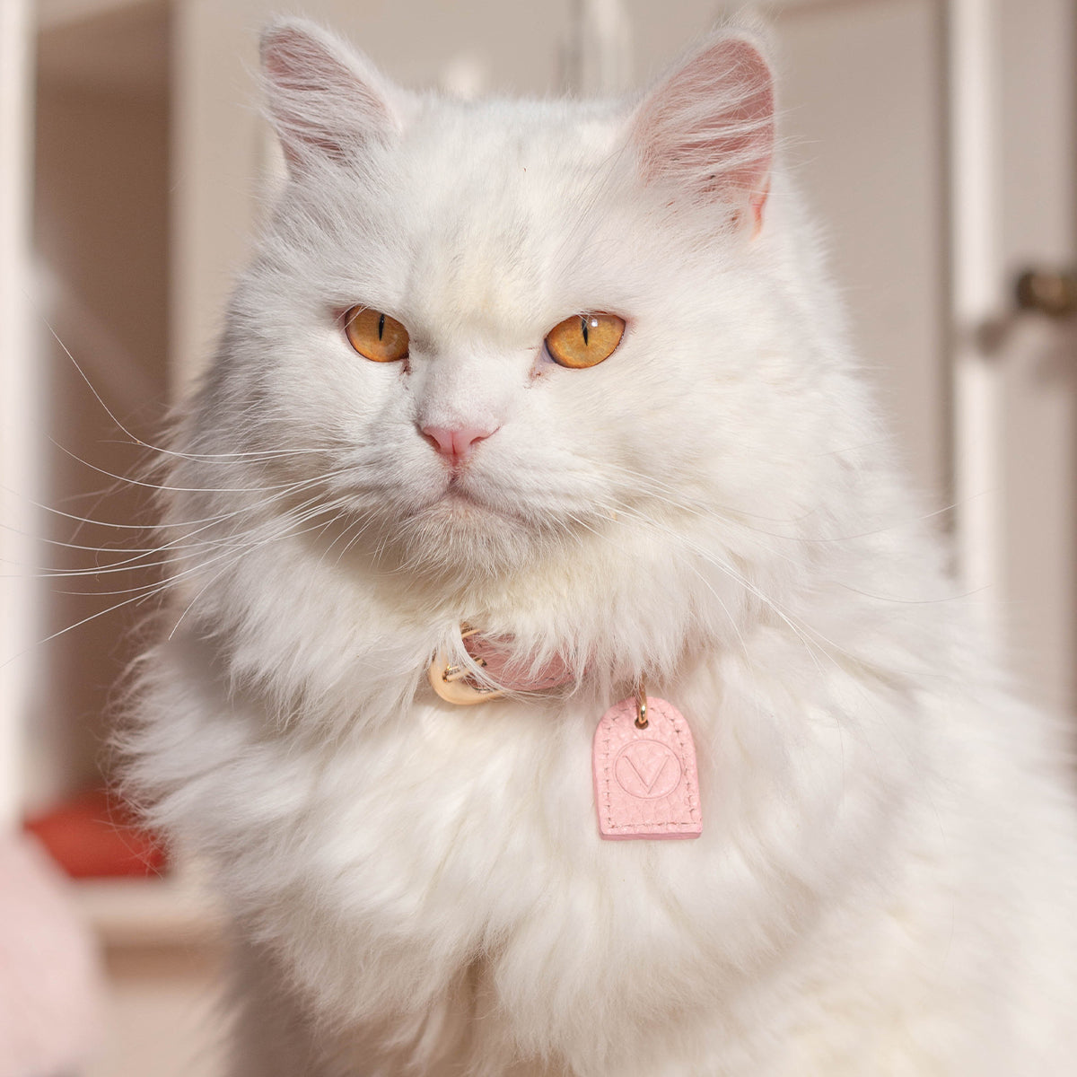 Leather Collar with Gold and Silver Hardware