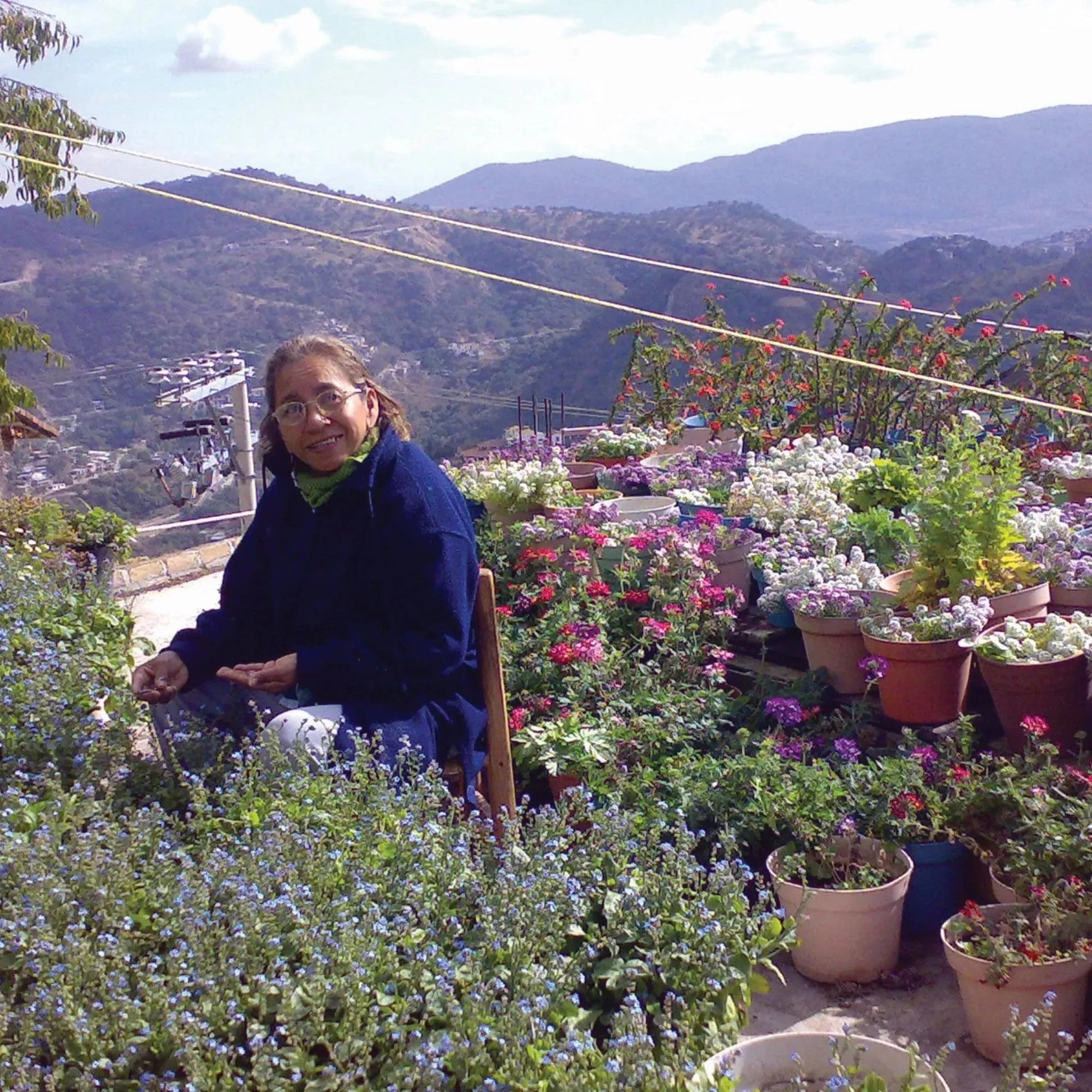 Real Poppy Flower Sterling Silver Teardrop Necklace