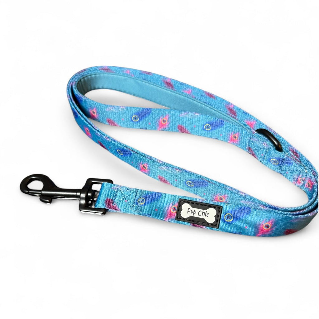 Power Peacock 5ft Dog Lead in Teal