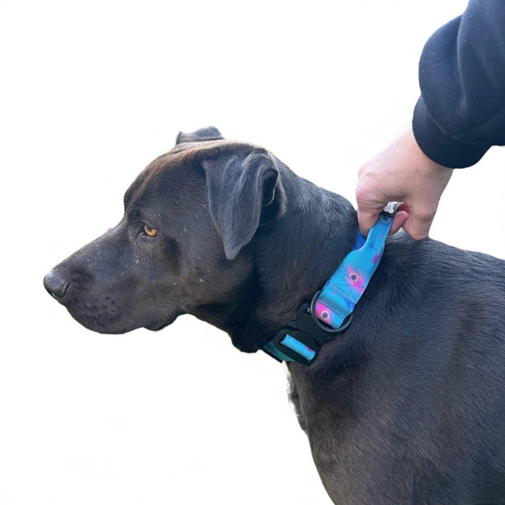 Power Peacock Adjustable Tactical Dog Collar