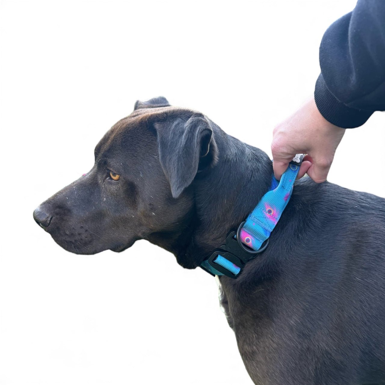 Power Peacock Adjustable Tactical Dog Collar