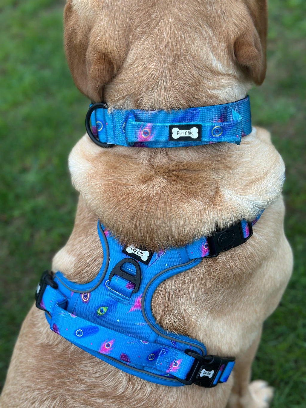 Power Peacock Tactical Dog Harness with No Pull Front D-Ring