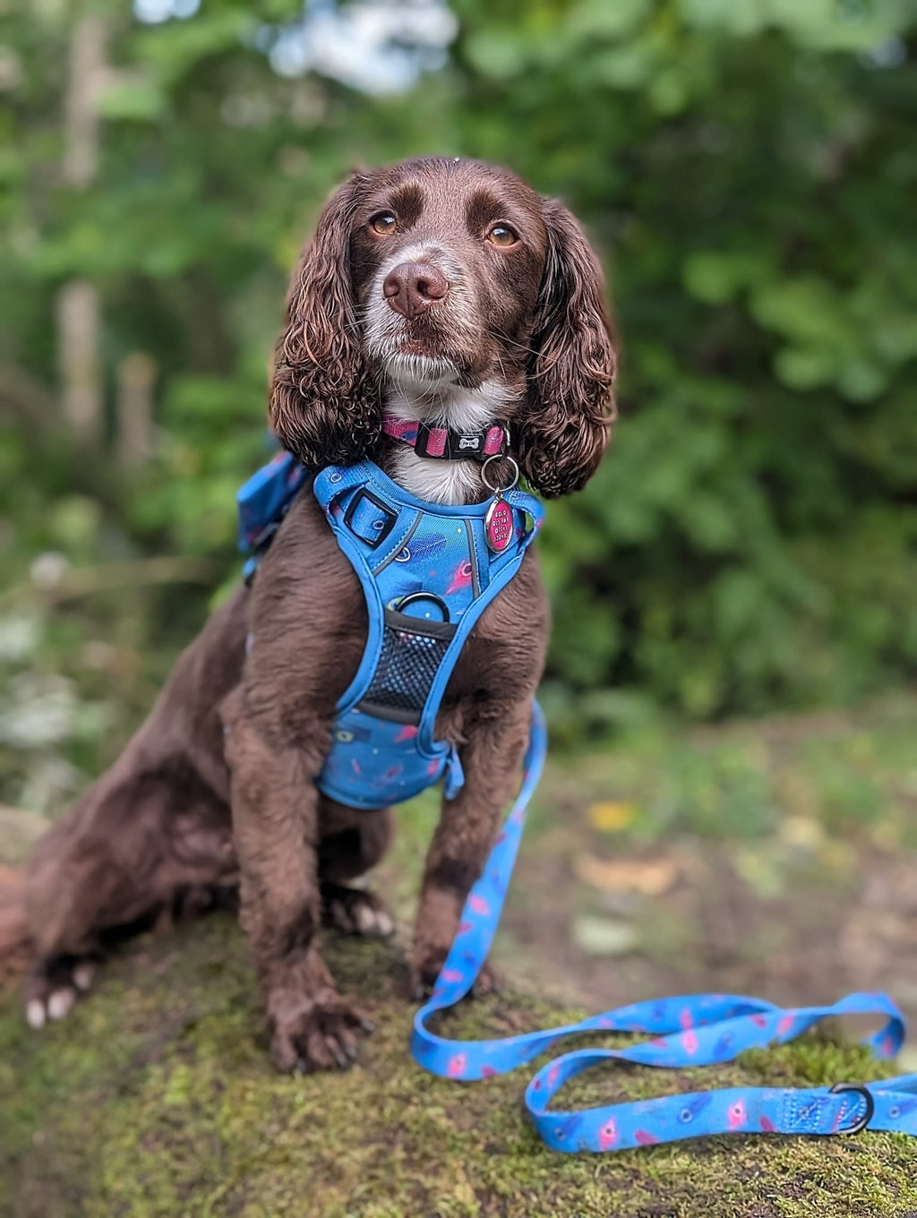 Power Peacock Tactical Dog Harness with No Pull Front D-Ring