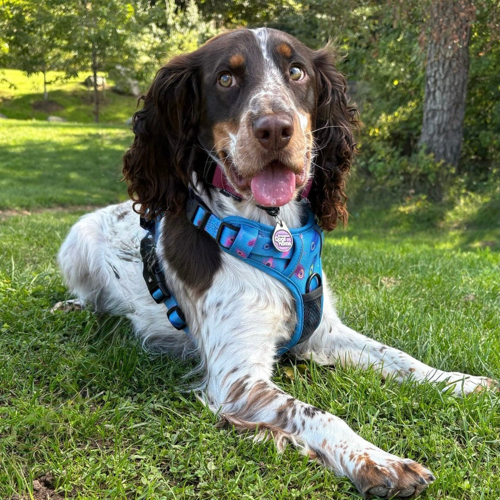 Power Peacock Tactical Dog Harness with No Pull Front D-Ring