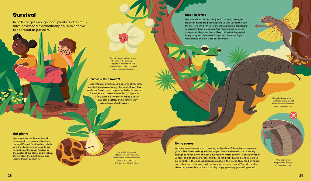 Explore the Rainforest Emma and Louis in the Jungle