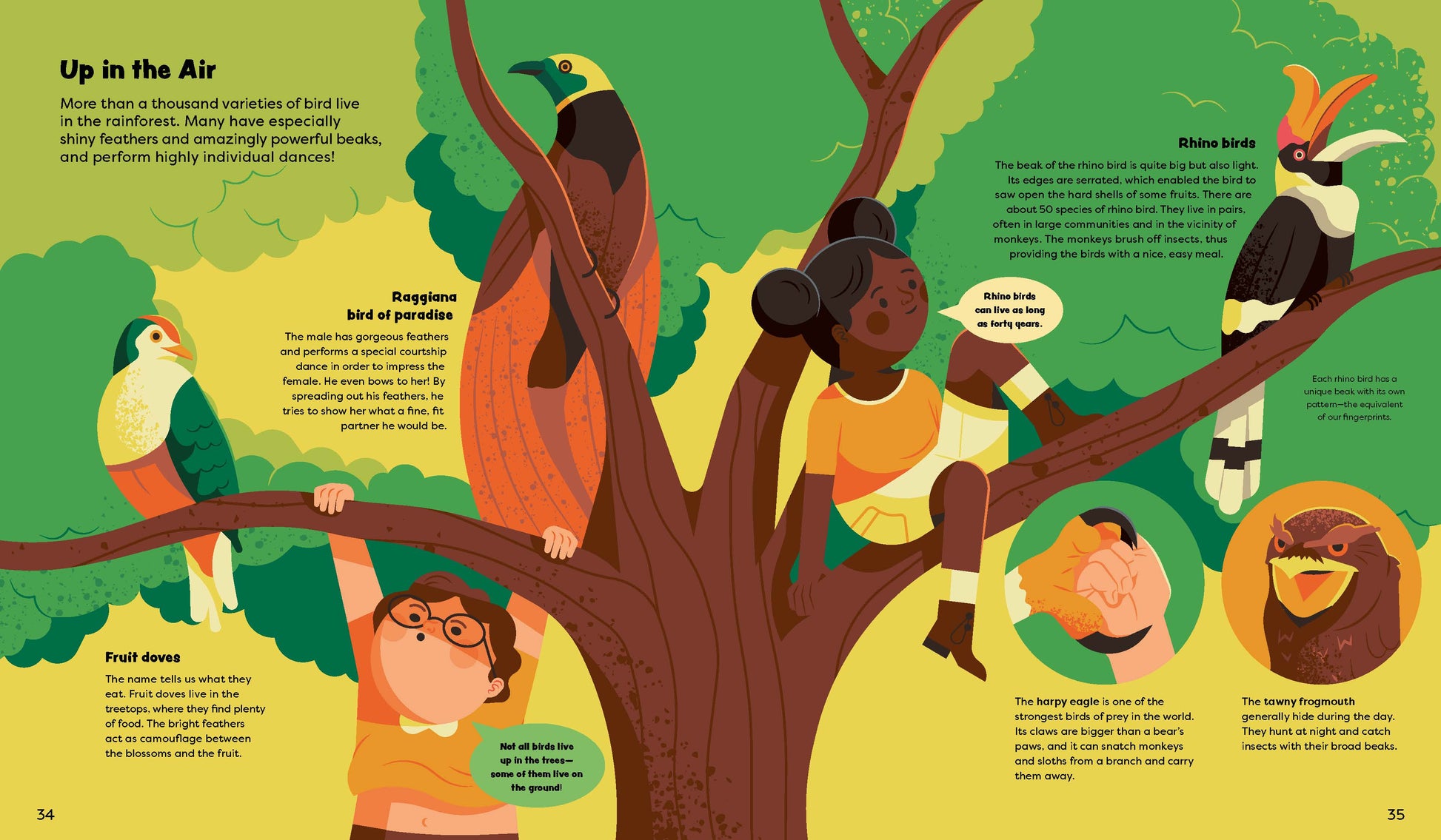 Explore the Rainforest Emma and Louis in the Jungle