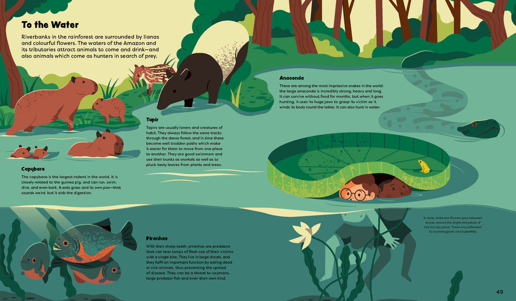 Explore the Rainforest Emma and Louis in the Jungle